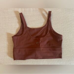 Nike Brown Sports Bras (Black and Brown)
